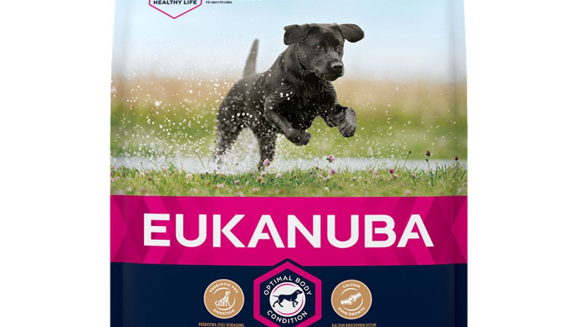 Eukanuba Junior Large kutyatáp 3kg