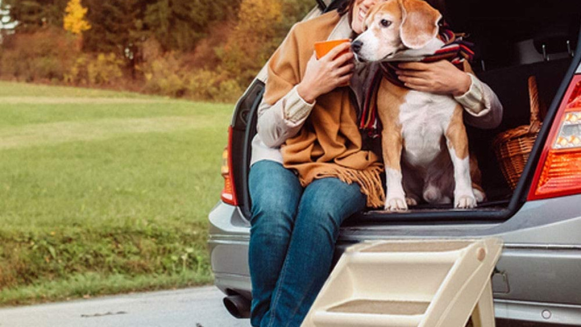 Timeless Tools Lépcső kisállatoknak