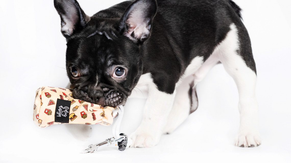 O dog design Kakizacsi- vagy jutifali tartó