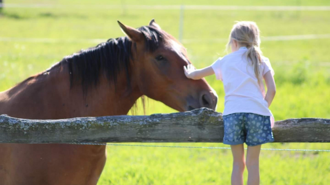Szállás az Őrségben a KercaBio Farm hangulatos lombházaiban.