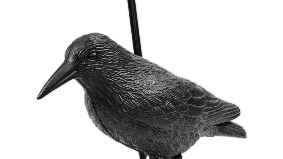 Timeless Tools Galambriasztó erkélyre, háztetőre 