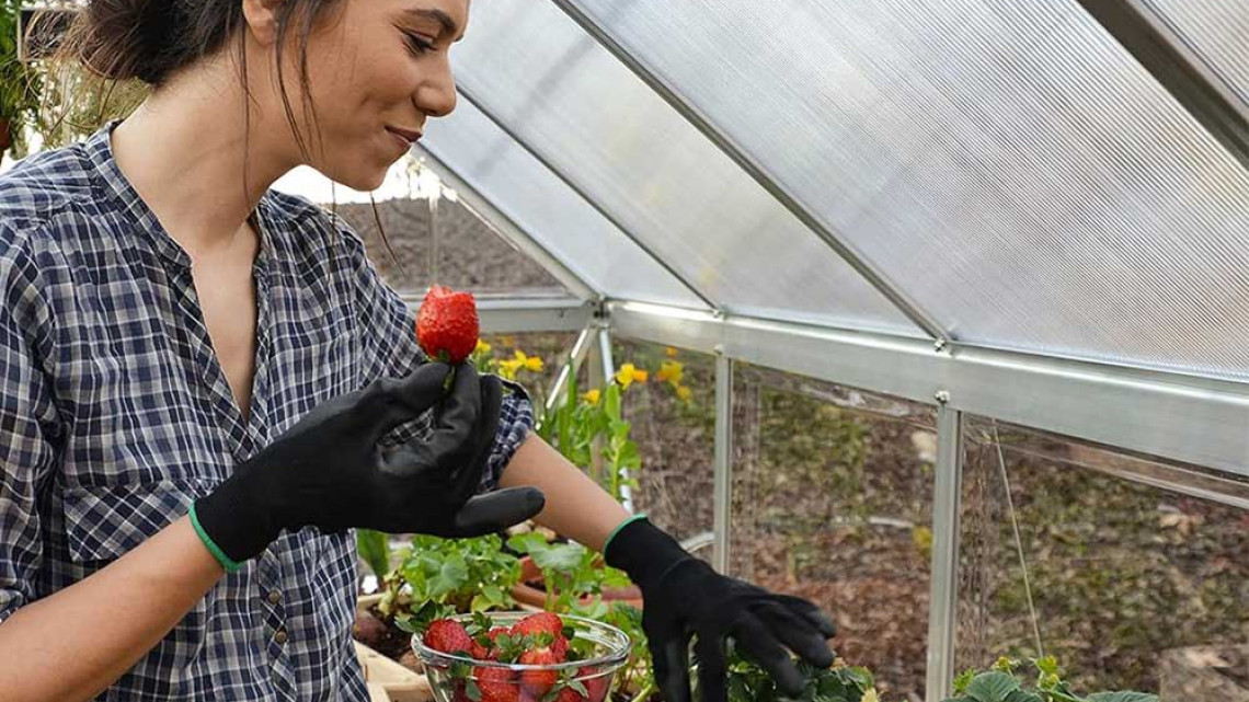 Timeless Tools Alumínium melegház