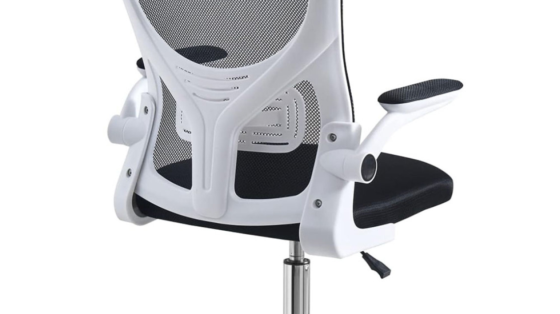 Timeless Tools Ergonomikus irodai szék állítható derék- és könyöktámasszal fehér