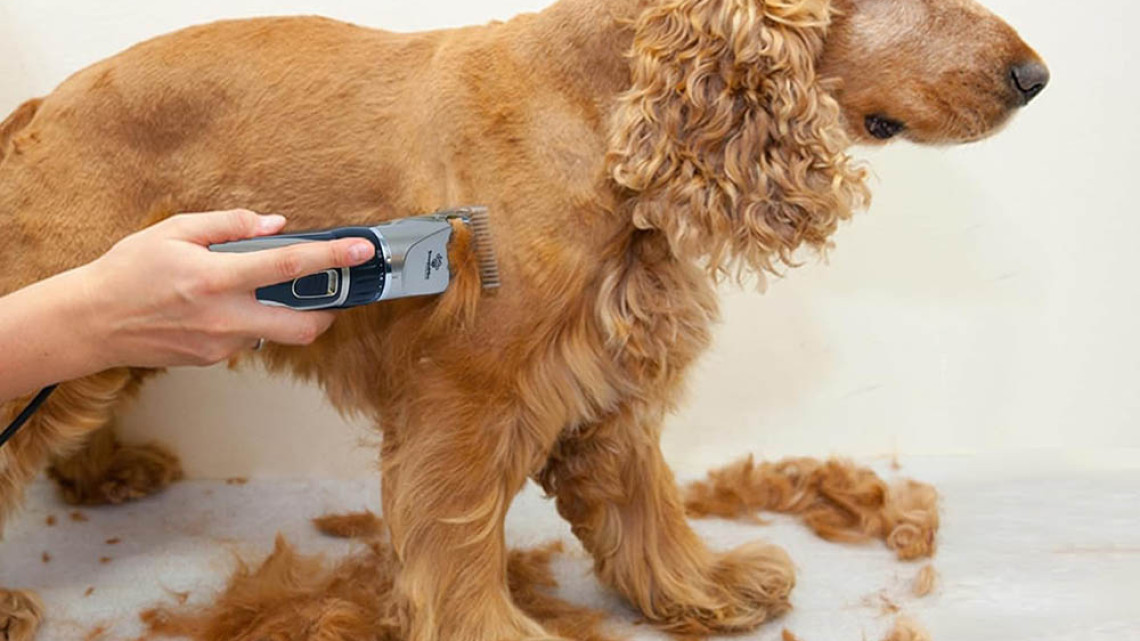 Timeless Tools Akkumulátoros kisállatszőr nyíró cserélhető fejekkel