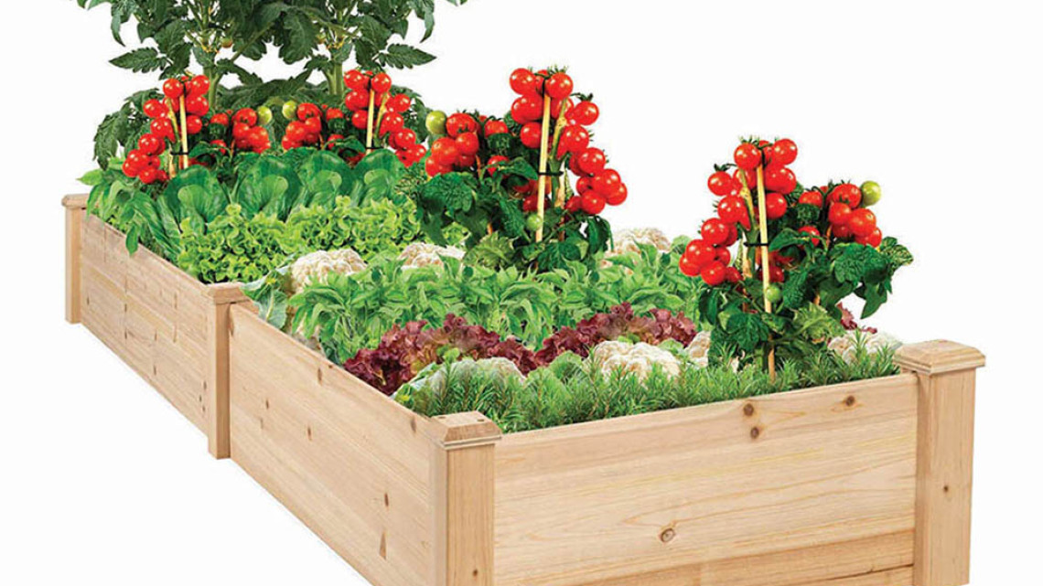 Timeless Tools 2 rekeszes fa palántázó