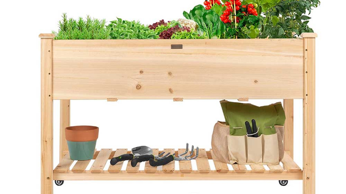 Timeless Tools Guruló fa palántázó