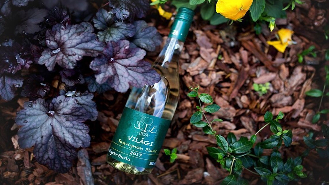 3 fogásos romantikus vacsora 2 fő részére a Lucza Családi Borászatban