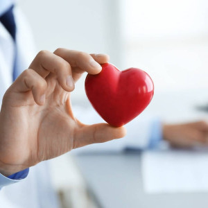 Előzd meg a bajt! Kardiológiai szív ultrahang vizsgálat az Imhotep Medical Center-ben.