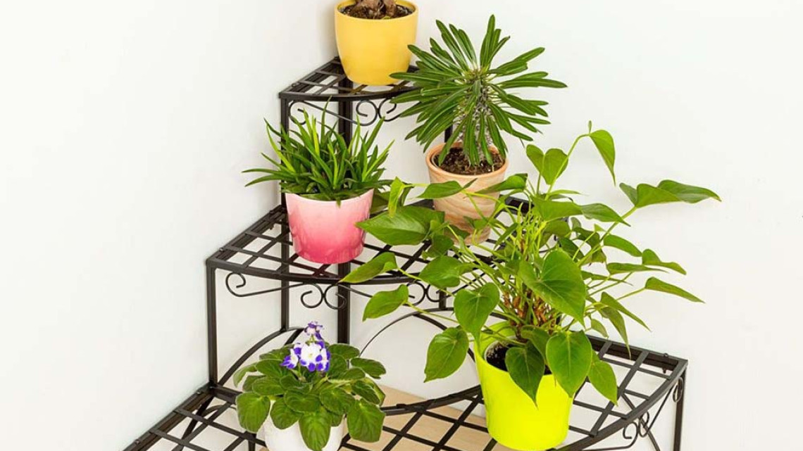 Timeless Tools Sarok virágtartó állvány